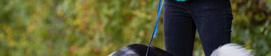 11./12.08.2023 Cadolzburg: ZOS-Seminar für Anfänger und Fortgeschrittene