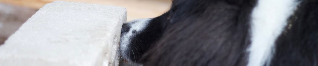 05./06.04.2025 Waakirchen: ZOS-Seminar für Anfänger und Fortgeschrittene